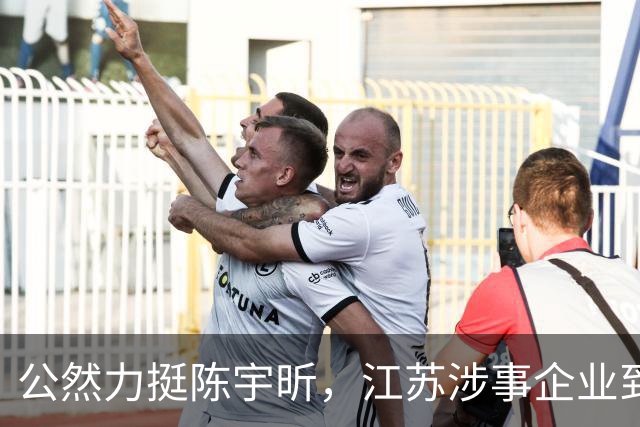 公然力挺陈宇昕，江苏涉事企业到底图个啥