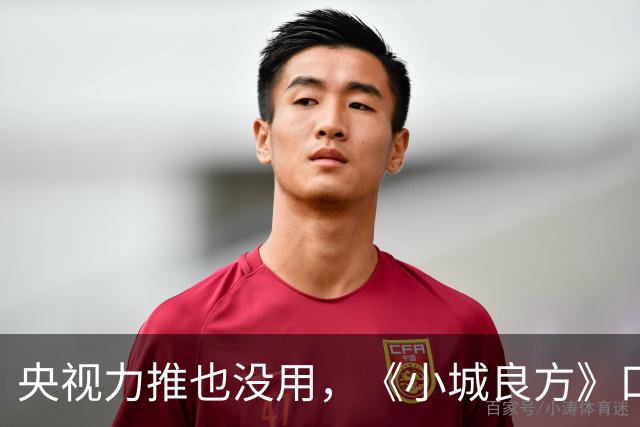 央视力推也没用，《小城良方》口碑反转，观众纷纷要求下架，为何