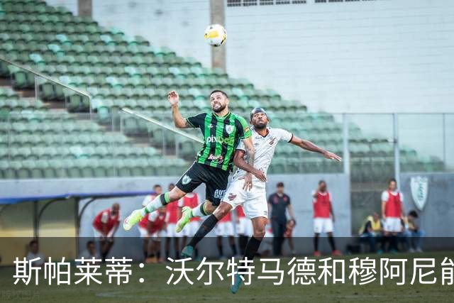 斯帕莱蒂：沃尔特马德和穆阿尼能共存并形成联动，但还有提升空间