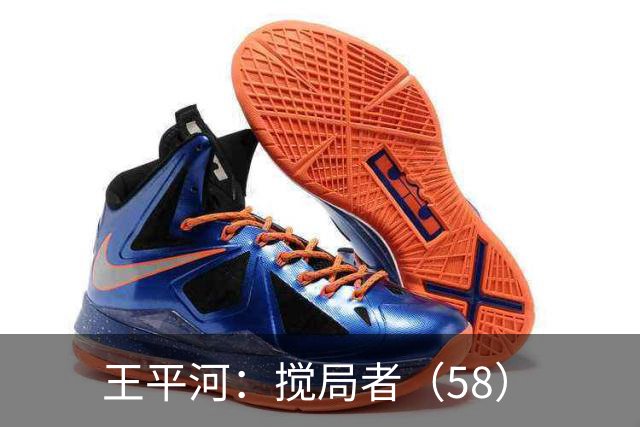 王平河：搅局者（5/8）