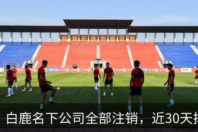 白鹿名下公司全部注销，近30天掉粉超144万，独立运营过渡期引关注