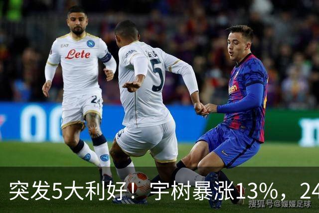 突发5大利好！宇树暴涨13%，24个机器人龙头涨停，主力流入8股