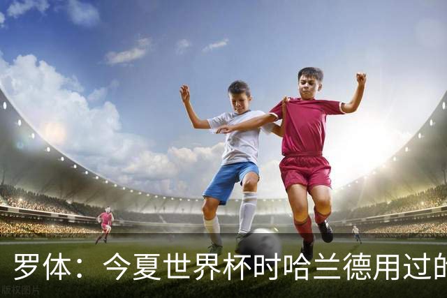 罗体：今夏世界杯时哈兰德用过的维京战鼓被拍卖，价格达12.4万欧
